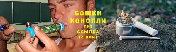 хмурый Медногорск