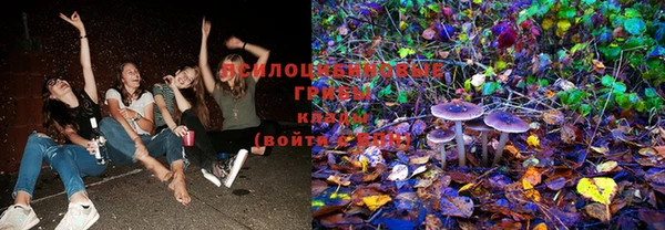 стаф Михайловка