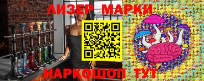 дмт Кингисепп