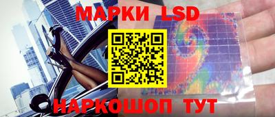 скорость Кинель