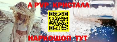 дмт Кингисепп