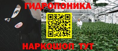 дмт Кингисепп
