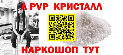 дмт Кингисепп