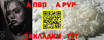дмт Кингисепп