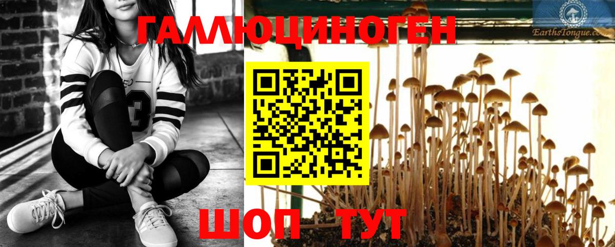Псилоцибиновые грибы ЛСД  Вход с VPN  Новоалександровск  Галлюциногенные грибы GOLDEN TEACHER 