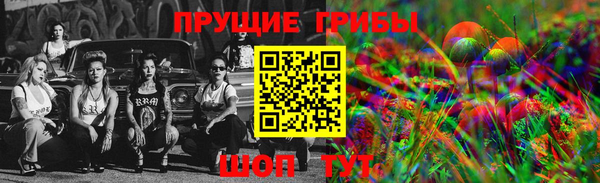 Псилоцибиновые грибы GOLDEN TEACHER  Псилоцибиновые грибы прущие грибы  Новоалександровск 