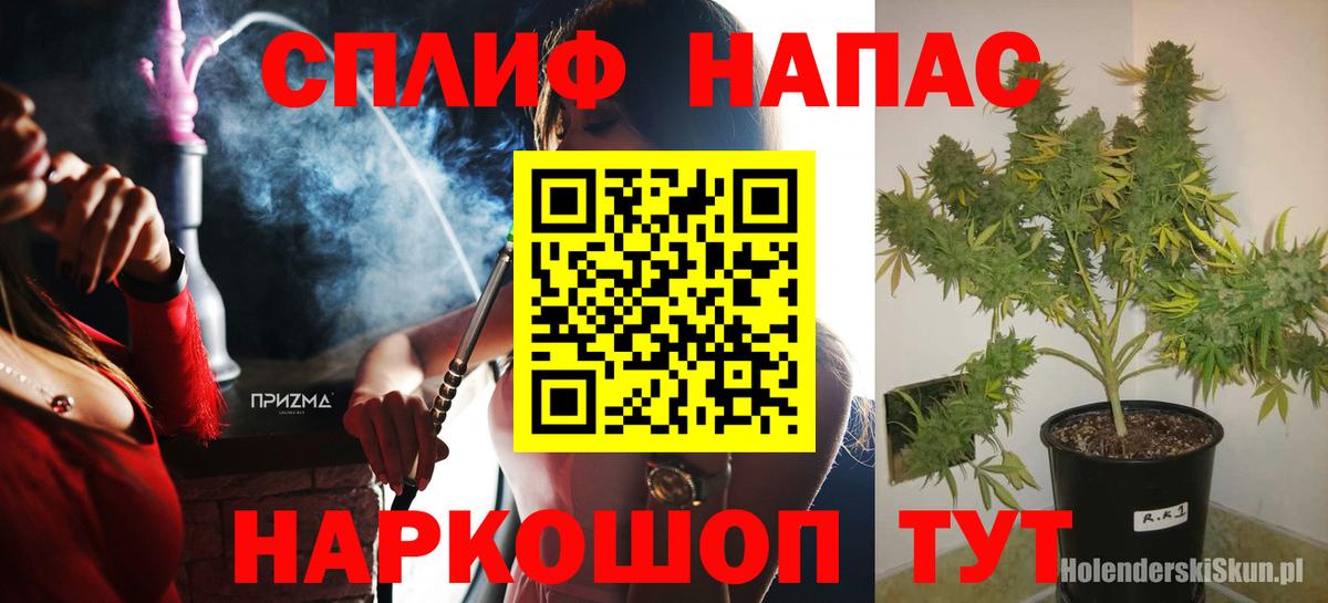 Шишки марихуана гибрид  Новоалександровск  Марихуана тримм  Бошки марихуана Bruce Banner 